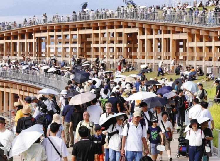 第254期:日本将整治排外言论?花泽香菜小野贤章离婚;中国患者被收三倍医疗费?日本成立AI战略部? | 百通板 第254期:日本将整治排外言论?花泽香菜小野贤章离婚;中国患者被收三倍医疗费?日本成立AI战略部? | 百通板