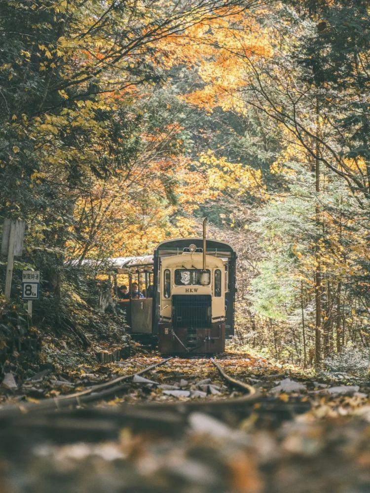 第254期:日本将整治排外言论?花泽香菜小野贤章离婚;中国患者被收三倍医疗费?日本成立AI战略部? | 百通板 第254期:日本将整治排外言论?花泽香菜小野贤章离婚;中国患者被收三倍医疗费?日本成立AI战略部? | 百通板