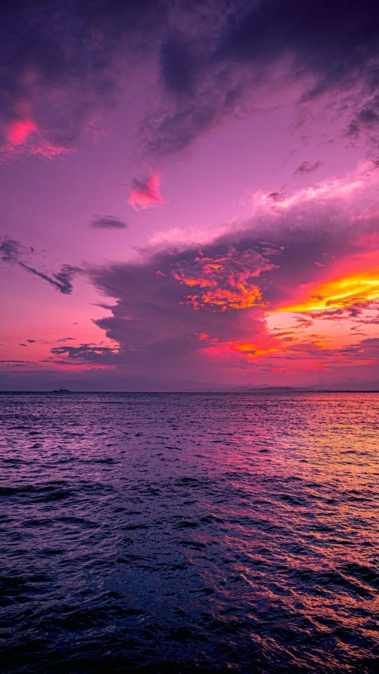 第254期:日本将整治排外言论?花泽香菜小野贤章离婚;中国患者被收三倍医疗费?日本成立AI战略部? | 百通板 第254期:日本将整治排外言论?花泽香菜小野贤章离婚;中国患者被收三倍医疗费?日本成立AI战略部? | 百通板