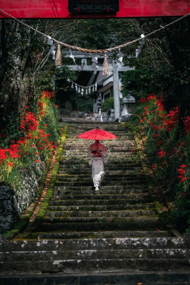 第255期:日本建外国人公寓?大阪世博烟花致游客受伤;知名电音女团解散?乐队结婚潮? | 百通板 第255期:日本建外国人公寓?大阪世博烟花致游客受伤;知名电音女团解散?乐队结婚潮? | 百通板