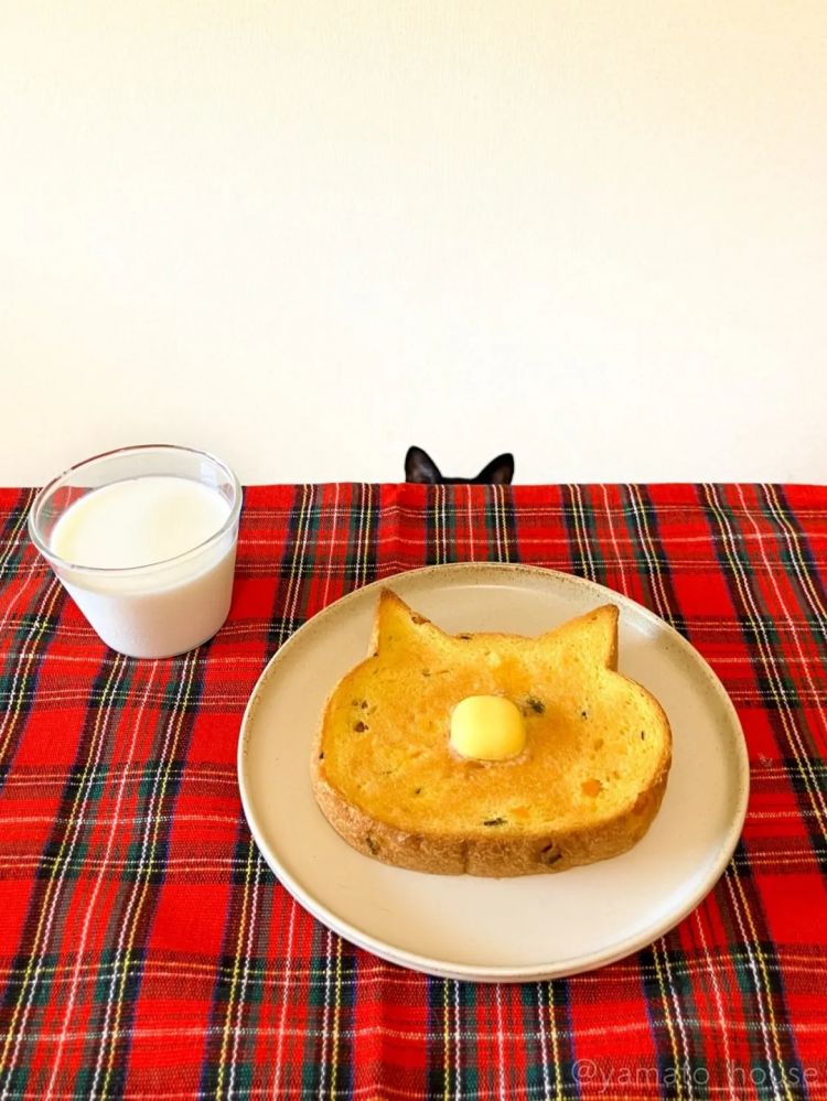 第255期:日本建外国人公寓?大阪世博烟花致游客受伤;知名电音女团解散?乐队结婚潮? | 百通板 第255期:日本建外国人公寓?大阪世博烟花致游客受伤;知名电音女团解散?乐队结婚潮? | 百通板