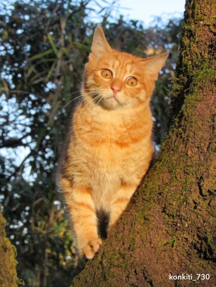 第255期:日本建外国人公寓?大阪世博烟花致游客受伤;知名电音女团解散?乐队结婚潮? | 百通板 第255期:日本建外国人公寓?大阪世博烟花致游客受伤;知名电音女团解散?乐队结婚潮? | 百通板