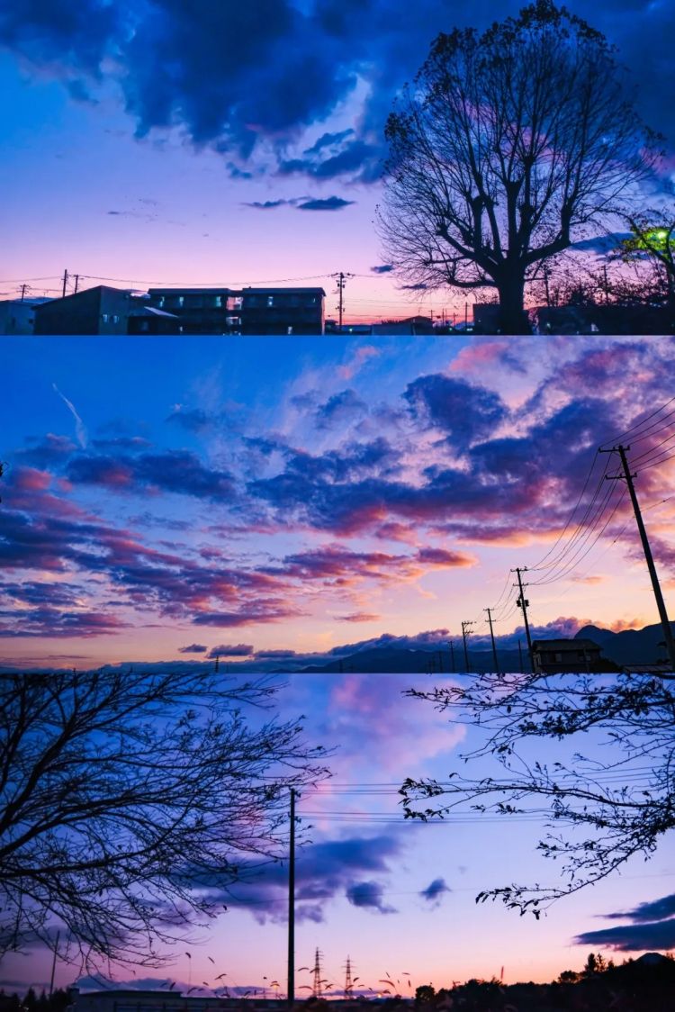 第256期:日本大地震概率又高了?特朗普宝可梦打击移民?拉布布联名大阪世博 | 百通板 第256期:日本大地震概率又高了?特朗普宝可梦打击移民?拉布布联名大阪世博 | 百通板