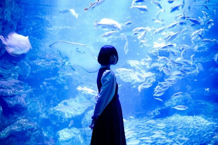 第256期:日本大地震概率又高了?特朗普宝可梦打击移民?拉布布联名大阪世博 | 百通板 第256期:日本大地震概率又高了?特朗普宝可梦打击移民?拉布布联名大阪世博 | 百通板