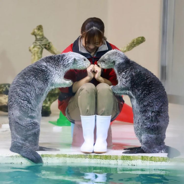 第256期:日本大地震概率又高了?特朗普宝可梦打击移民?拉布布联名大阪世博 | 百通板 第256期:日本大地震概率又高了?特朗普宝可梦打击移民?拉布布联名大阪世博 | 百通板