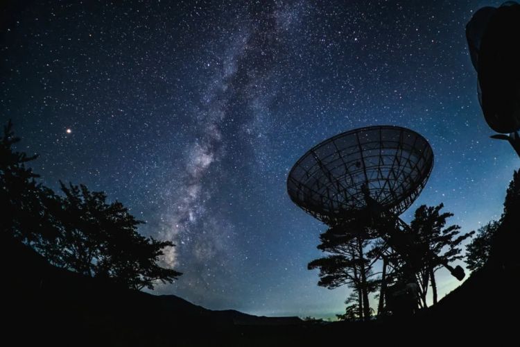 第256期:日本大地震概率又高了?特朗普宝可梦打击移民?拉布布联名大阪世博 | 百通板 第256期:日本大地震概率又高了?特朗普宝可梦打击移民?拉布布联名大阪世博 | 百通板