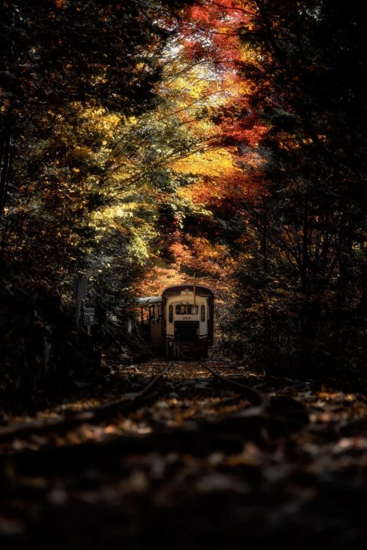 第256期:日本大地震概率又高了?特朗普宝可梦打击移民?拉布布联名大阪世博 | 百通板 第256期:日本大地震概率又高了?特朗普宝可梦打击移民?拉布布联名大阪世博 | 百通板