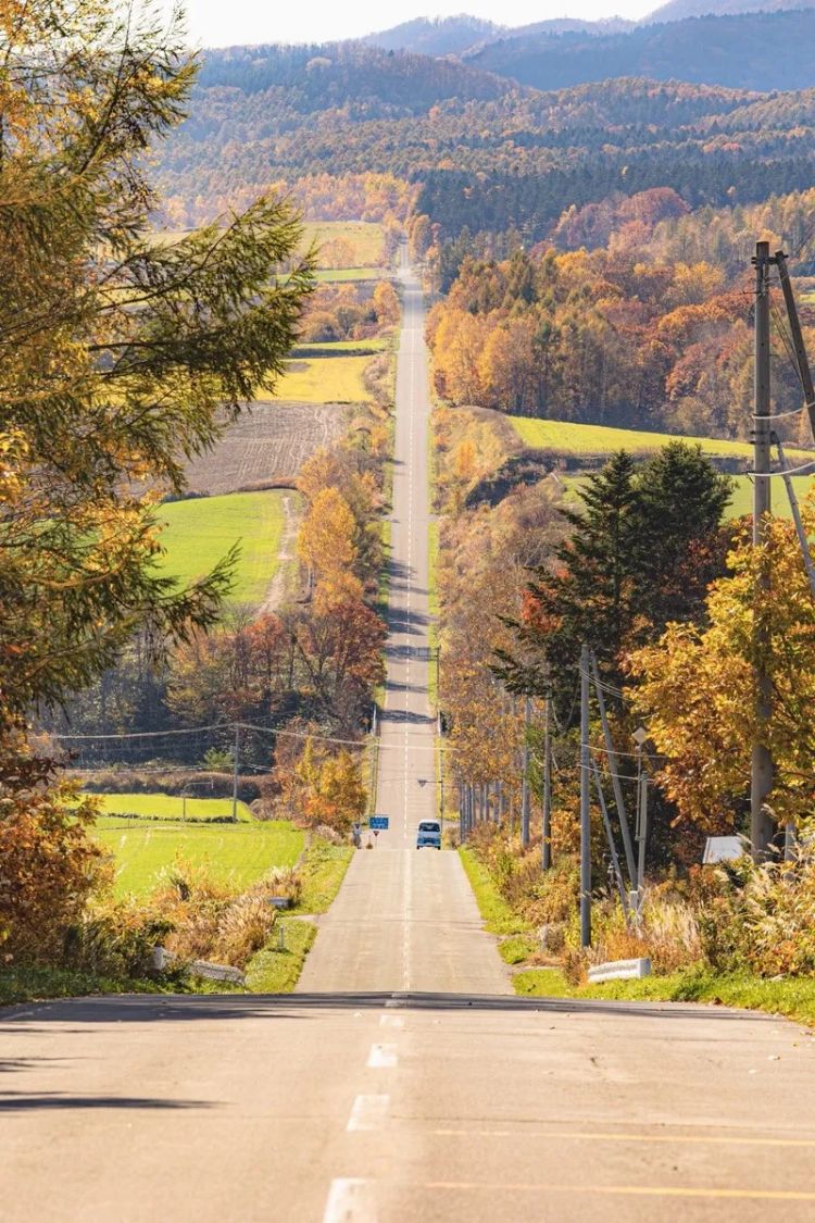 第257期:高市早苗成日本首任女首相?称日本人需像牛马一样工作;国庆周海外游日本最热门;诺贝尔奖出炉 | 百通板 第257期:高市早苗成日本首任女首相?称日本人需像牛马一样工作;国庆周海外游日本最热门;诺贝尔奖出炉 | 百通板