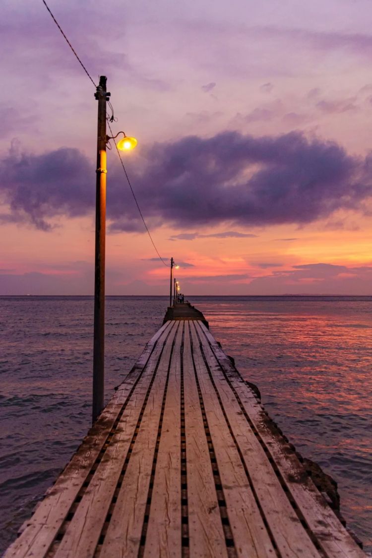 第257期:高市早苗成日本首任女首相?称日本人需像牛马一样工作;国庆周海外游日本最热门;诺贝尔奖出炉 | 百通板 第257期:高市早苗成日本首任女首相?称日本人需像牛马一样工作;国庆周海外游日本最热门;诺贝尔奖出炉 | 百通板