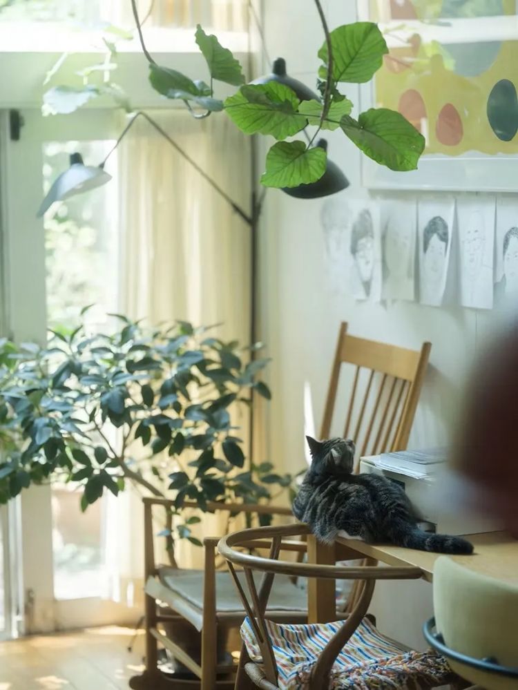 当1.5亿中国人选择独居,你准备好了吗?日本的今天就是我们的明天 当1.5亿中国人选择独居,你准备好了吗?日本的今天就是我们的明天