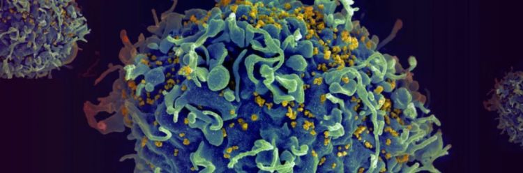 日本又炸了!74岁科学疯子靠“免疫刹车”拿下诺贝尔奖,全国沸腾 日本又炸了!74岁科学疯子靠“免疫刹车”拿下诺贝尔奖,全国沸腾