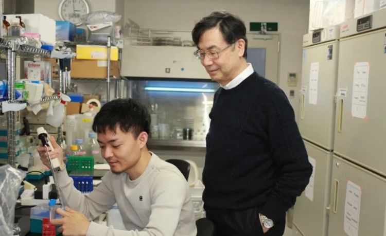 日本又炸了!74岁科学疯子靠“免疫刹车”拿下诺贝尔奖,全国沸腾 日本又炸了!74岁科学疯子靠“免疫刹车”拿下诺贝尔奖,全国沸腾