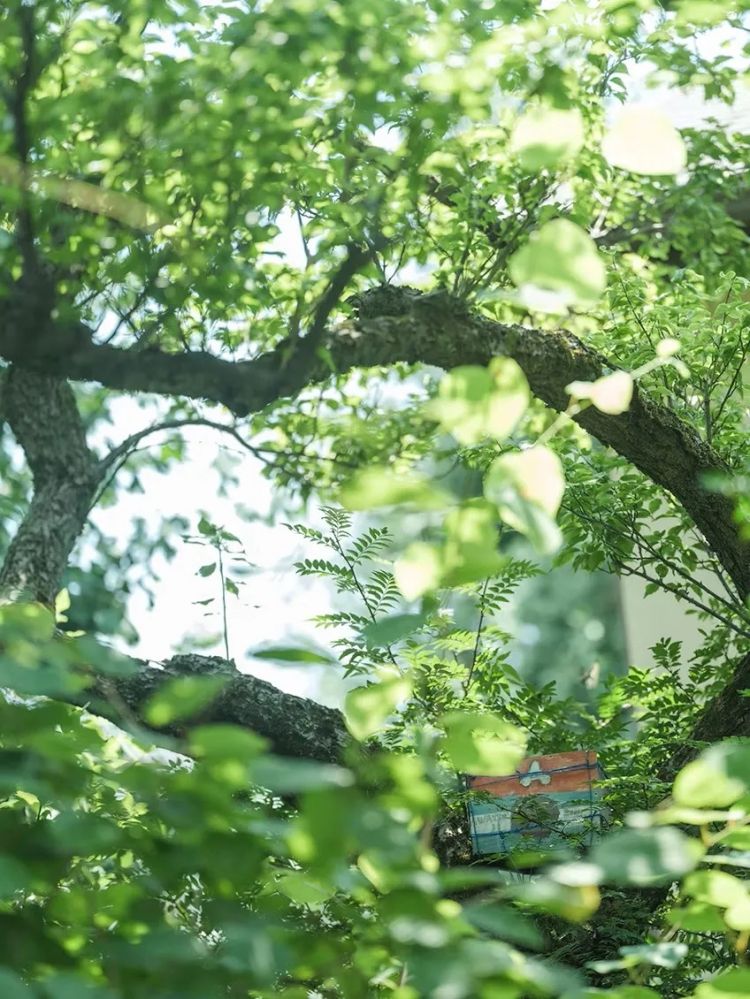 当1.5亿中国人选择独居,你准备好了吗?日本的今天就是我们的明天 当1.5亿中国人选择独居,你准备好了吗?日本的今天就是我们的明天