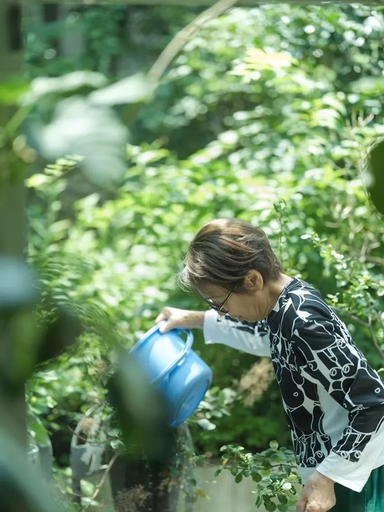 当1.5亿中国人选择独居,你准备好了吗?日本的今天就是我们的明天 当1.5亿中国人选择独居,你准备好了吗?日本的今天就是我们的明天