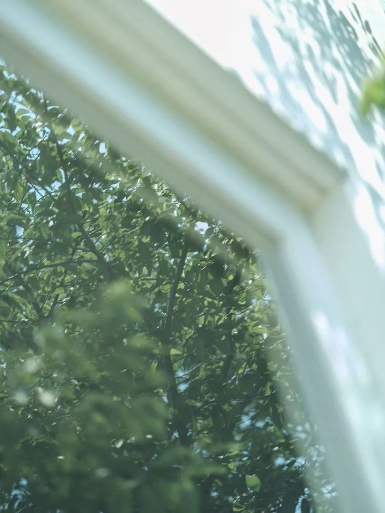 当1.5亿中国人选择独居,你准备好了吗?日本的今天就是我们的明天 当1.5亿中国人选择独居,你准备好了吗?日本的今天就是我们的明天