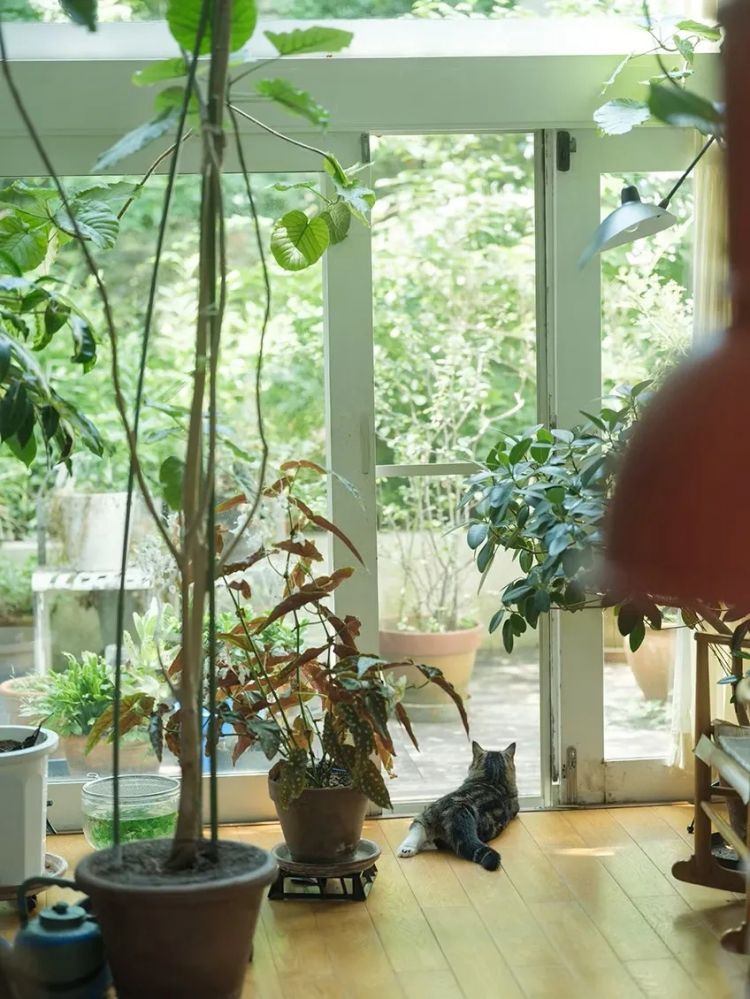 当1.5亿中国人选择独居,你准备好了吗?日本的今天就是我们的明天 当1.5亿中国人选择独居,你准备好了吗?日本的今天就是我们的明天