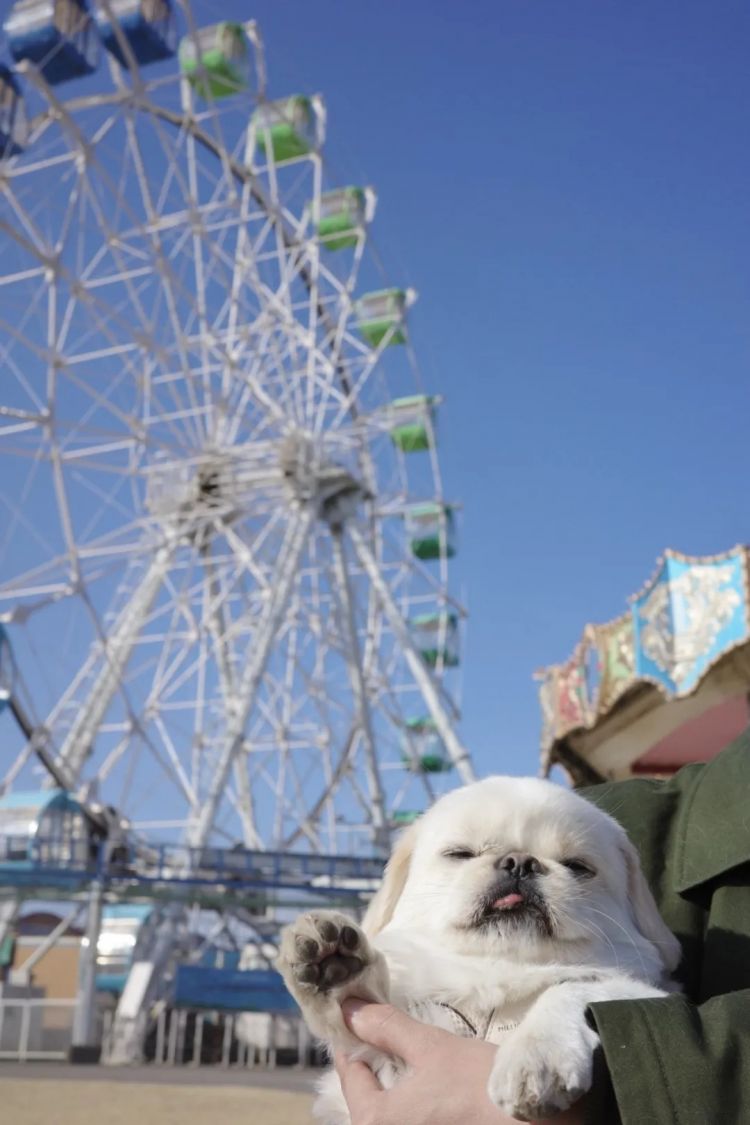 第258期:高市早苗首相梦碎?米仓凉子涉毒?NHK官宣红白主持人 绫濑遥领衔;大阪世博闭幕 | 百通板 第258期:高市早苗首相梦碎?米仓凉子涉毒?NHK官宣红白主持人 绫濑遥领衔;大阪世博闭幕 | 百通板