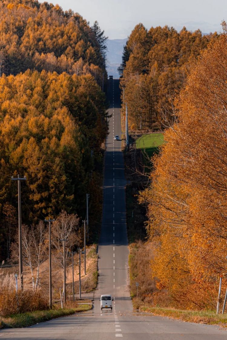 第258期:高市早苗首相梦碎?米仓凉子涉毒?NHK官宣红白主持人 绫濑遥领衔;大阪世博闭幕 | 百通板 第258期:高市早苗首相梦碎?米仓凉子涉毒?NHK官宣红白主持人 绫濑遥领衔;大阪世博闭幕 | 百通板