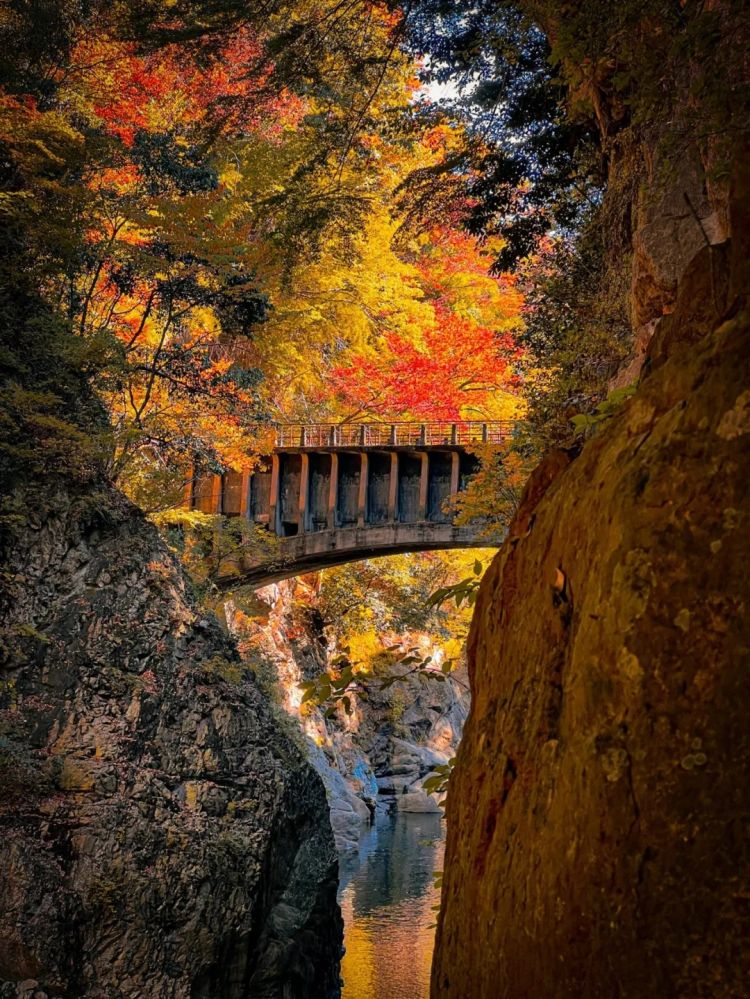 第259期:高市早苗当选 日本首位女首相诞生;露比酱上红白?藤冈靛宣布离婚;村山富市逝世 | 百通板 第259期:高市早苗当选 日本首位女首相诞生;露比酱上红白?藤冈靛宣布离婚;村山富市逝世 | 百通板