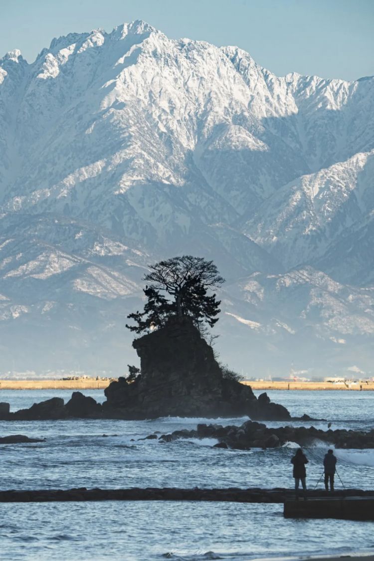 第259期:高市早苗当选 日本首位女首相诞生;露比酱上红白?藤冈靛宣布离婚;村山富市逝世 | 百通板 第259期:高市早苗当选 日本首位女首相诞生;露比酱上红白?藤冈靛宣布离婚;村山富市逝世 | 百通板