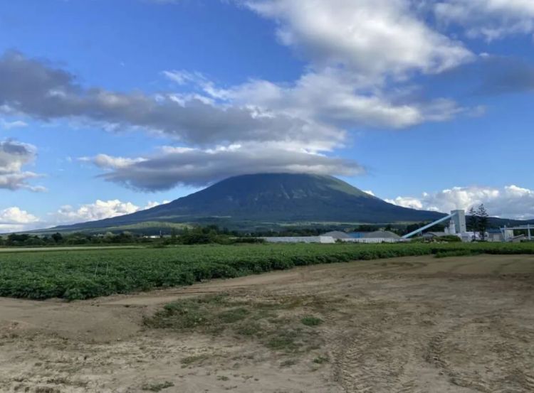 第259期:高市早苗当选 日本首位女首相诞生;露比酱上红白?藤冈靛宣布离婚;村山富市逝世 | 百通板 第259期:高市早苗当选 日本首位女首相诞生;露比酱上红白?藤冈靛宣布离婚;村山富市逝世 | 百通板