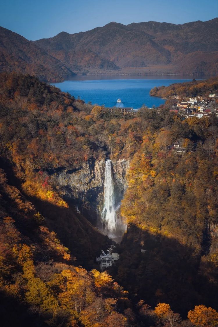 第260期:特朗普与高市早苗会面;龟梨和也与田中美奈实分手?日本熊灾肆虐;安倍晋三枪击案公审 | 百通板 第260期:特朗普与高市早苗会面;龟梨和也与田中美奈实分手?日本熊灾肆虐;安倍晋三枪击案公审 | 百通板