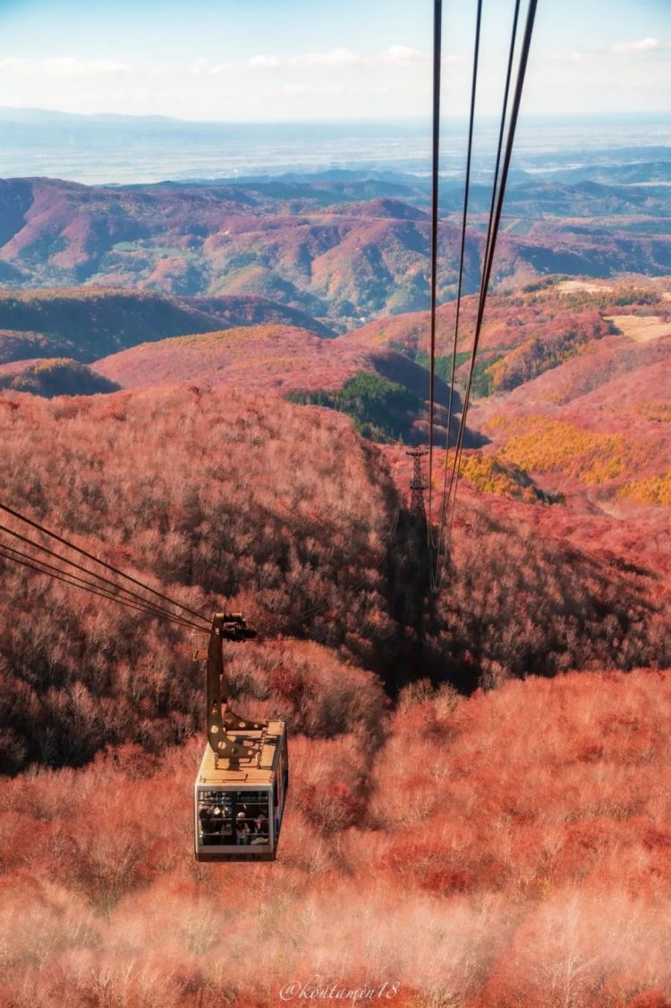 第260期:特朗普与高市早苗会面;龟梨和也与田中美奈实分手?日本熊灾肆虐;安倍晋三枪击案公审 | 百通板 第260期:特朗普与高市早苗会面;龟梨和也与田中美奈实分手?日本熊灾肆虐;安倍晋三枪击案公审 | 百通板
