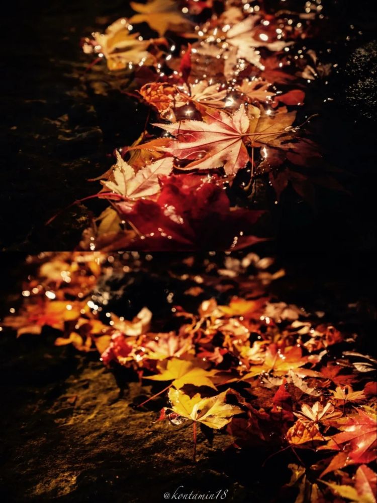 第260期:特朗普与高市早苗会面;龟梨和也与田中美奈实分手?日本熊灾肆虐;安倍晋三枪击案公审 | 百通板 第260期:特朗普与高市早苗会面;龟梨和也与田中美奈实分手?日本熊灾肆虐;安倍晋三枪击案公审 | 百通板