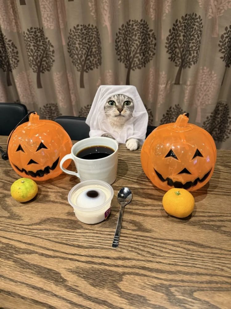 第260期:特朗普与高市早苗会面;龟梨和也与田中美奈实分手?日本熊灾肆虐;安倍晋三枪击案公审 | 百通板 第260期:特朗普与高市早苗会面;龟梨和也与田中美奈实分手?日本熊灾肆虐;安倍晋三枪击案公审 | 百通板