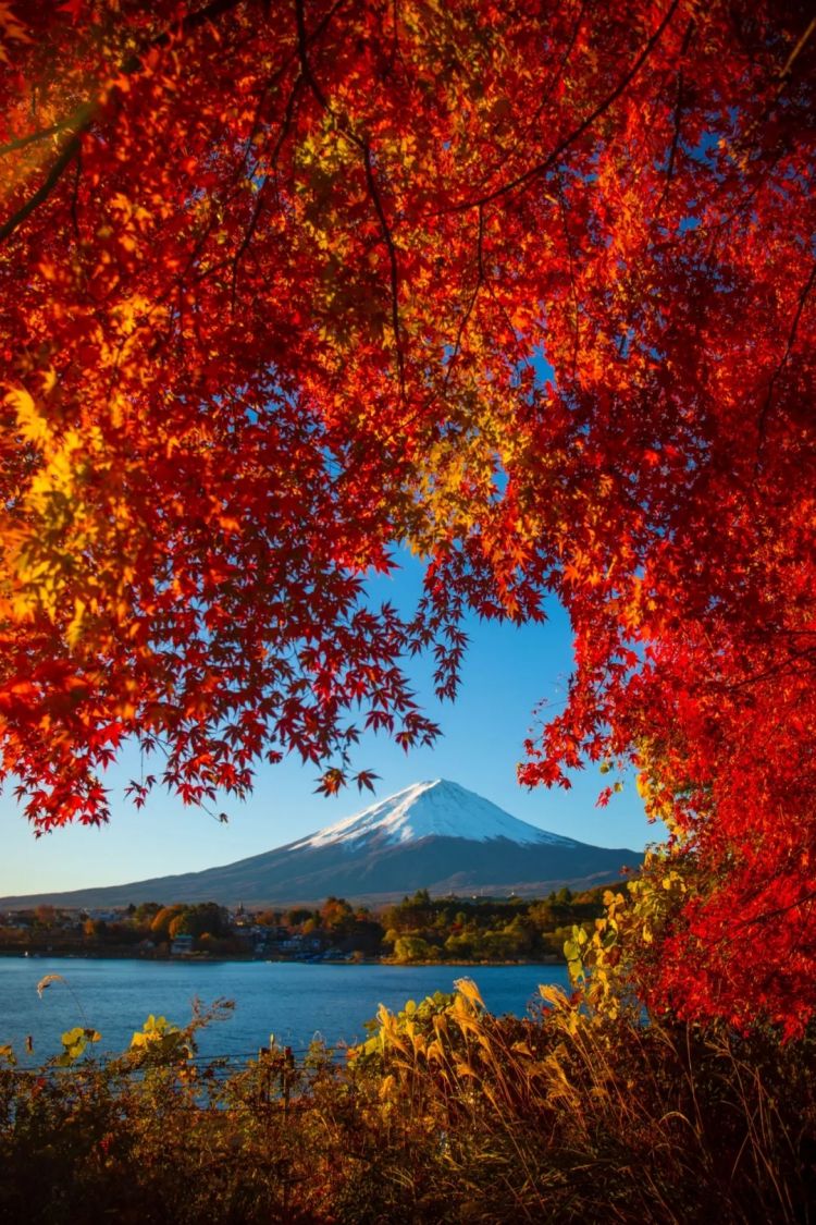 第260期:特朗普与高市早苗会面;龟梨和也与田中美奈实分手?日本熊灾肆虐;安倍晋三枪击案公审 | 百通板 第260期:特朗普与高市早苗会面;龟梨和也与田中美奈实分手?日本熊灾肆虐;安倍晋三枪击案公审 | 百通板