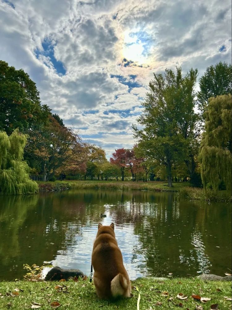 第260期:特朗普与高市早苗会面;龟梨和也与田中美奈实分手?日本熊灾肆虐;安倍晋三枪击案公审 | 百通板 第260期:特朗普与高市早苗会面;龟梨和也与田中美奈实分手?日本熊灾肆虐;安倍晋三枪击案公审 | 百通板