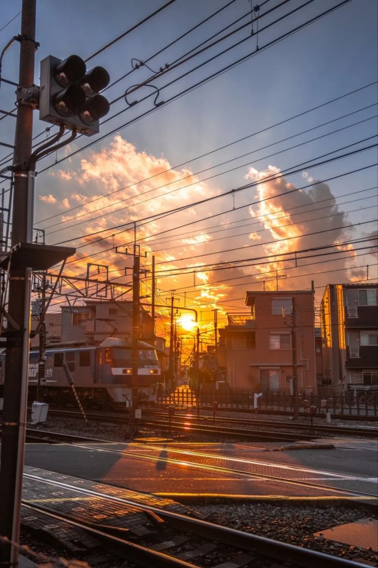 第260期:特朗普与高市早苗会面;龟梨和也与田中美奈实分手?日本熊灾肆虐;安倍晋三枪击案公审 | 百通板 第260期:特朗普与高市早苗会面;龟梨和也与田中美奈实分手?日本熊灾肆虐;安倍晋三枪击案公审 | 百通板