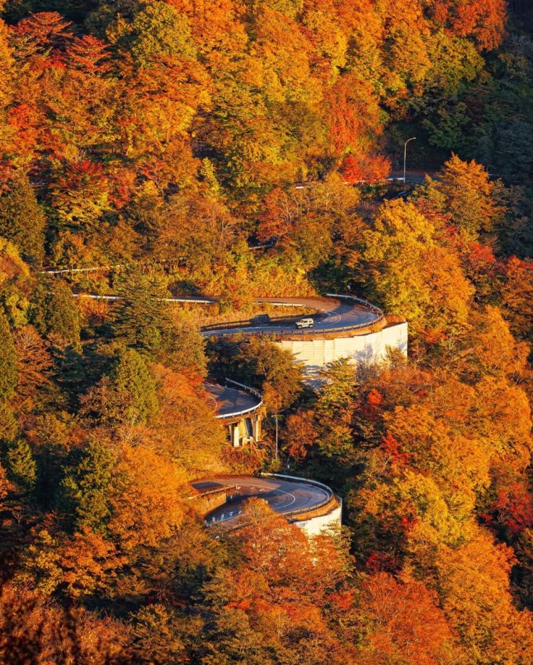 第260期:特朗普与高市早苗会面;龟梨和也与田中美奈实分手?日本熊灾肆虐;安倍晋三枪击案公审 | 百通板 第260期:特朗普与高市早苗会面;龟梨和也与田中美奈实分手?日本熊灾肆虐;安倍晋三枪击案公审 | 百通板