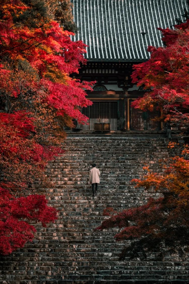 第260期:特朗普与高市早苗会面;龟梨和也与田中美奈实分手?日本熊灾肆虐;安倍晋三枪击案公审 | 百通板 第260期:特朗普与高市早苗会面;龟梨和也与田中美奈实分手?日本熊灾肆虐;安倍晋三枪击案公审 | 百通板