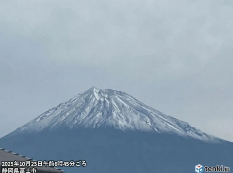 第260期:特朗普与高市早苗会面;龟梨和也与田中美奈实分手?日本熊灾肆虐;安倍晋三枪击案公审 | 百通板 第260期:特朗普与高市早苗会面;龟梨和也与田中美奈实分手?日本熊灾肆虐;安倍晋三枪击案公审 | 百通板