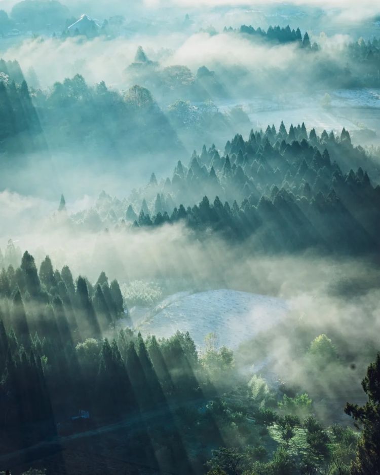 第261期:中国对日免签延长;木村拓哉长女恋爱?中日轮值APEC主席国;哥斯拉续作定名;日本熊灾 | 百通板 第261期:中国对日免签延长;木村拓哉长女恋爱?中日轮值APEC主席国;哥斯拉续作定名;日本熊灾 | 百通板