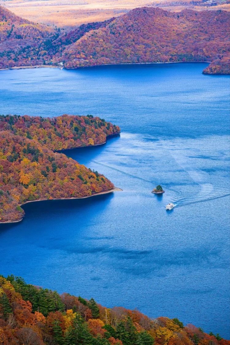 第261期:中国对日免签延长;木村拓哉长女恋爱?中日轮值APEC主席国;哥斯拉续作定名;日本熊灾 | 百通板 第261期:中国对日免签延长;木村拓哉长女恋爱?中日轮值APEC主席国;哥斯拉续作定名;日本熊灾 | 百通板