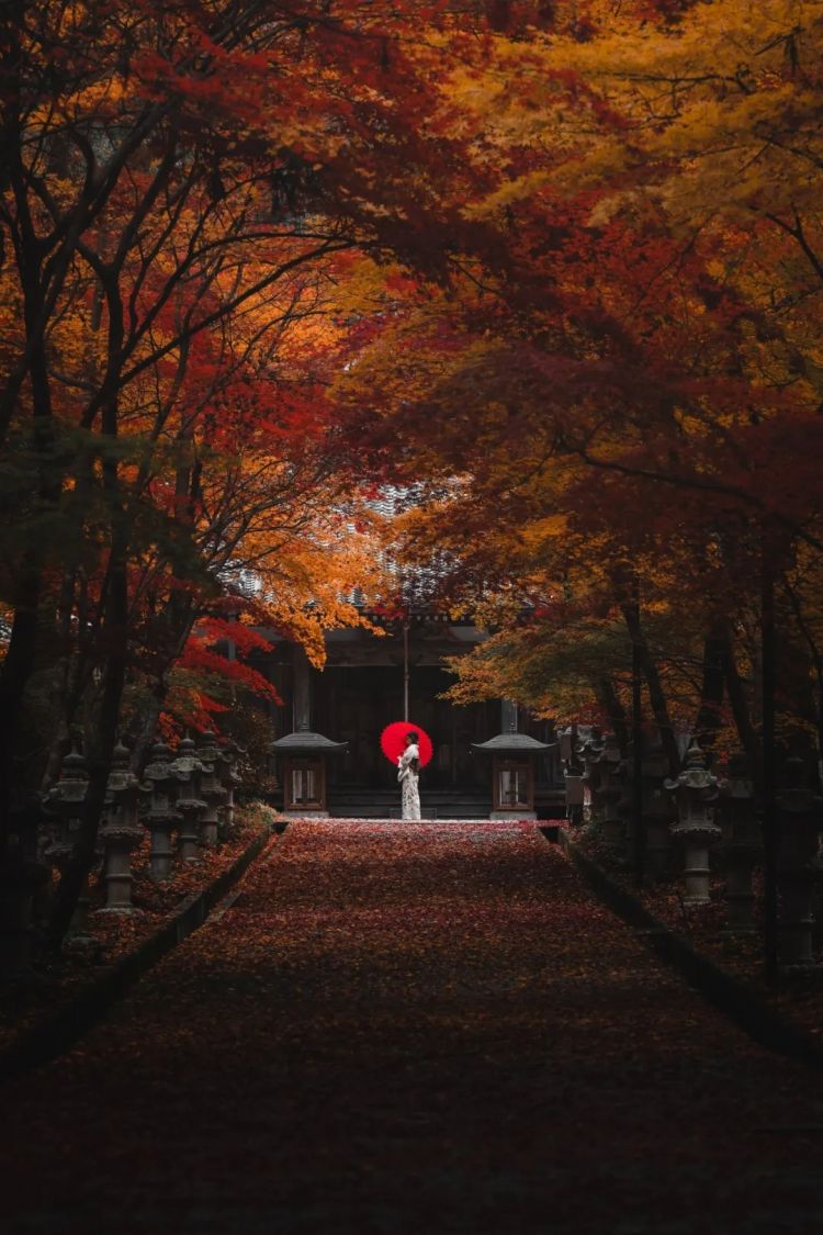 第262期:suica西瓜卡企鹅要毕业?宝可梦新作定档明年;日系车企财报赤字频出?日本熊灾破纪录;aespa将登红白?| 百通板 第262期:suica西瓜卡企鹅要毕业?宝可梦新作定档明年;日系车企财报赤字频出?日本熊灾破纪录;aespa将登红白?| 百通板