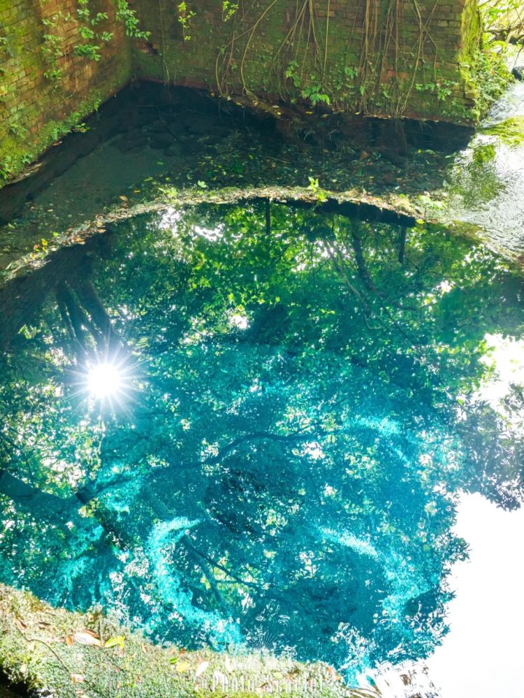 第262期:suica西瓜卡企鹅要毕业?宝可梦新作定档明年;日系车企财报赤字频出?日本熊灾破纪录;aespa将登红白?| 百通板 第262期:suica西瓜卡企鹅要毕业?宝可梦新作定档明年;日系车企财报赤字频出?日本熊灾破纪录;aespa将登红白?| 百通板