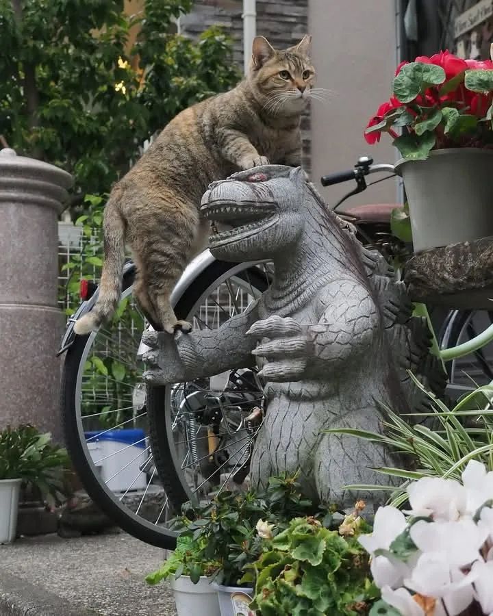 第263期:赴日旅游减少 日本将损失1.7万亿?NHK红白歌会名单出炉;日本GD日本GDP现负增长 | 百通板 第263期:赴日旅游减少 日本将损失1.7万亿?NHK红白歌会名单出炉;日本GD日本GDP现负增长 | 百通板