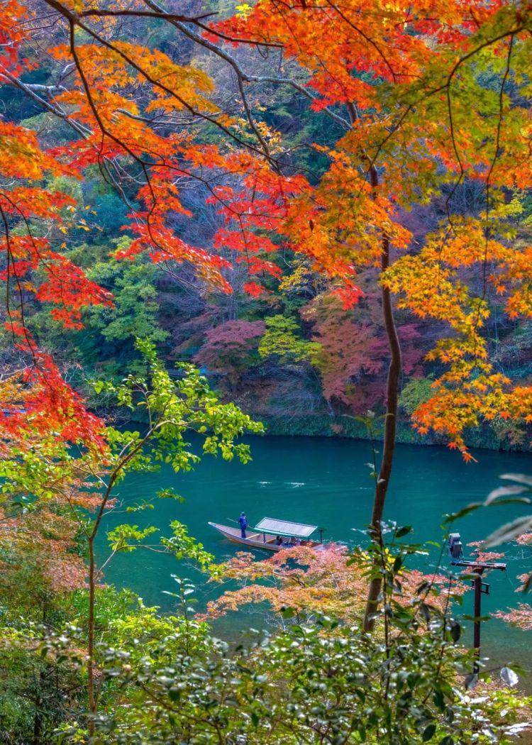 第263期:赴日旅游减少 日本将损失1.7万亿?NHK红白歌会名单出炉;日本GD日本GDP现负增长 | 百通板 第263期:赴日旅游减少 日本将损失1.7万亿?NHK红白歌会名单出炉;日本GD日本GDP现负增长 | 百通板