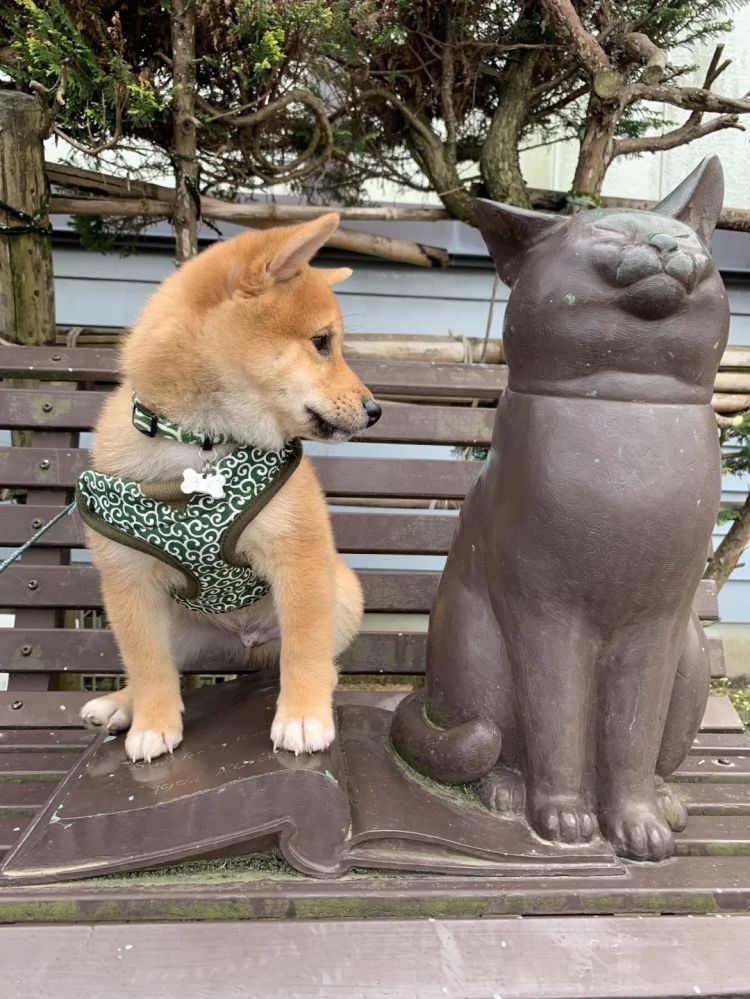 第263期:赴日旅游减少 日本将损失1.7万亿?NHK红白歌会名单出炉;日本GD日本GDP现负增长 | 百通板 第263期:赴日旅游减少 日本将损失1.7万亿?NHK红白歌会名单出炉;日本GD日本GDP现负增长 | 百通板