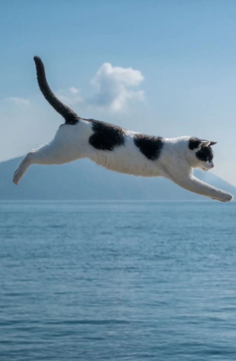 第264期:在华演出接连取消 日本音乐人怒批日本政府?中国暂停日本水产进口;唱片大奖公布 | 百通板 第264期:在华演出接连取消 日本音乐人怒批日本政府?中国暂停日本水产进口;唱片大奖公布 | 百通板