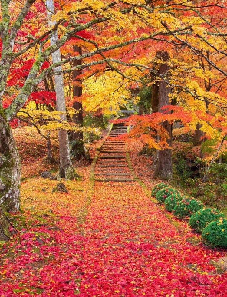 第264期:在华演出接连取消 日本音乐人怒批日本政府?中国暂停日本水产进口;唱片大奖公布 | 百通板 第264期:在华演出接连取消 日本音乐人怒批日本政府?中国暂停日本水产进口;唱片大奖公布 | 百通板