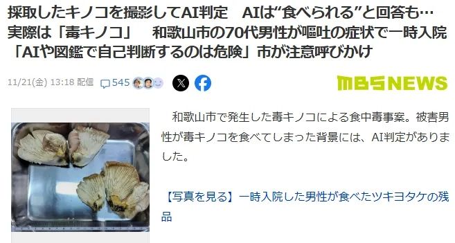 日本大爷上山采蘑菇吃完差点没命,大爷:问了AI说没毒才吃的… 日本大爷上山采蘑菇吃完差点没命,大爷:问了AI说没毒才吃的…