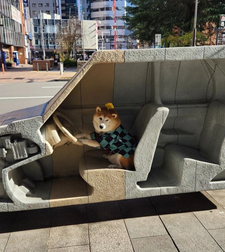 第265期:高市早苗名言当选日本年度流行语?东京拟提高住宿税;滨崎步演唱会紧急叫停?| 百通板 第265期:高市早苗名言当选日本年度流行语?东京拟提高住宿税;滨崎步演唱会紧急叫停?| 百通板