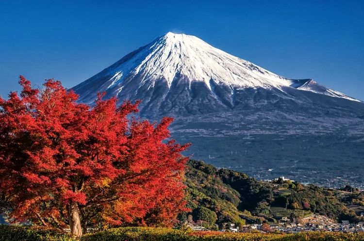 第265期:高市早苗名言当选日本年度流行语?东京拟提高住宿税;滨崎步演唱会紧急叫停?| 百通板 第265期:高市早苗名言当选日本年度流行语?东京拟提高住宿税;滨崎步演唱会紧急叫停?| 百通板