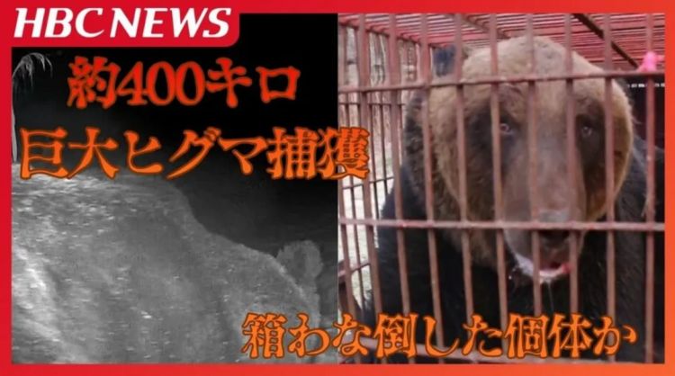 第265期:高市早苗名言当选日本年度流行语?东京拟提高住宿税;滨崎步演唱会紧急叫停?| 百通板 第265期:高市早苗名言当选日本年度流行语?东京拟提高住宿税;滨崎步演唱会紧急叫停?| 百通板