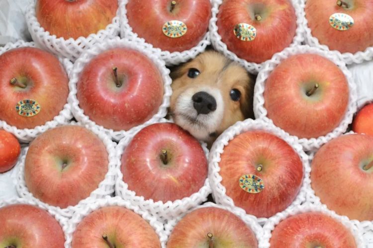 第265期:高市早苗名言当选日本年度流行语?东京拟提高住宿税;滨崎步演唱会紧急叫停?| 百通板 第265期:高市早苗名言当选日本年度流行语?东京拟提高住宿税;滨崎步演唱会紧急叫停?| 百通板