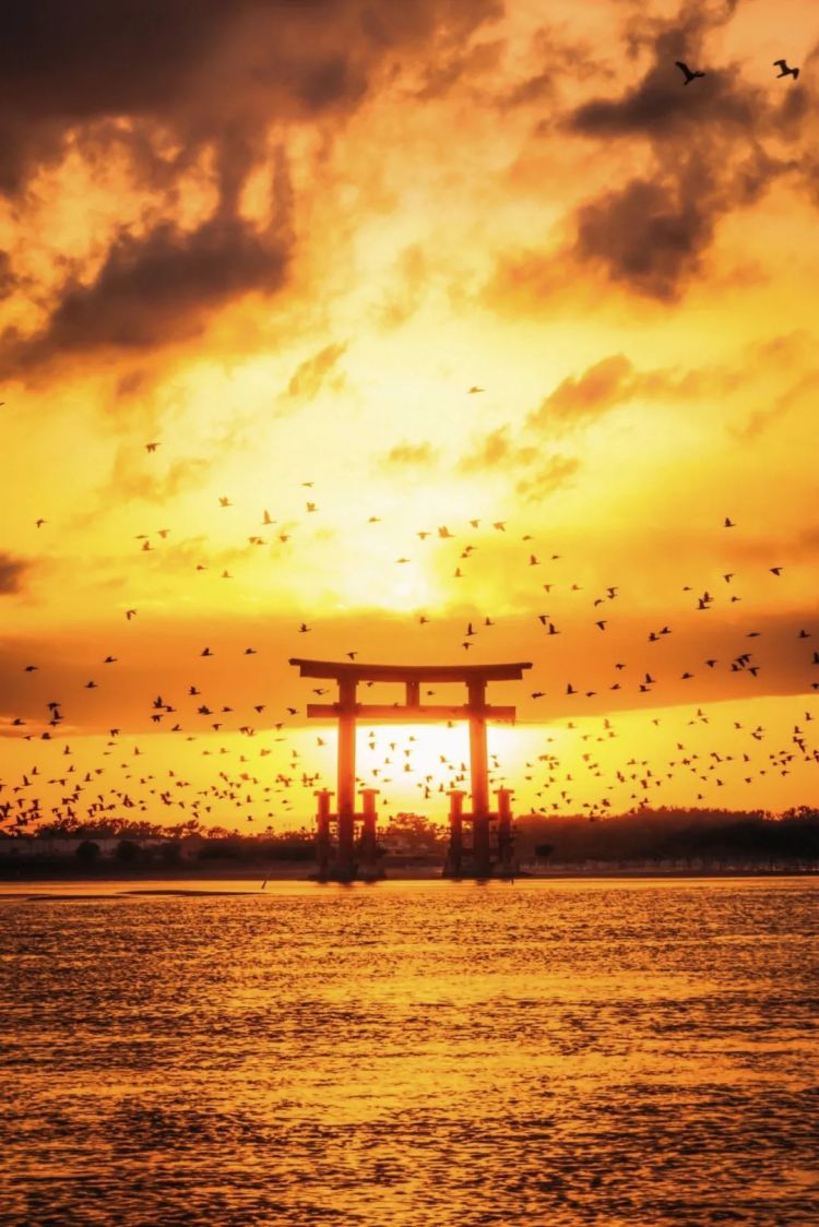 第265期:高市早苗名言当选日本年度流行语?东京拟提高住宿税;滨崎步演唱会紧急叫停?| 百通板 第265期:高市早苗名言当选日本年度流行语?东京拟提高住宿税;滨崎步演唱会紧急叫停?| 百通板